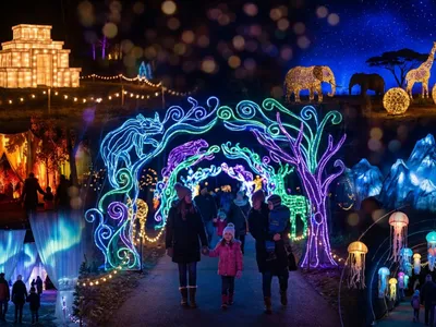 Alouette vous offre 4 entrées pour les Illuminations sauvages à...