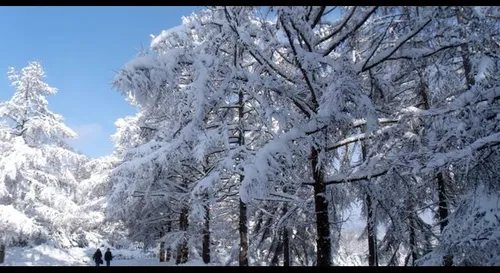 Toute la Champagne-Ardenne en vigilance orange neige et verglas