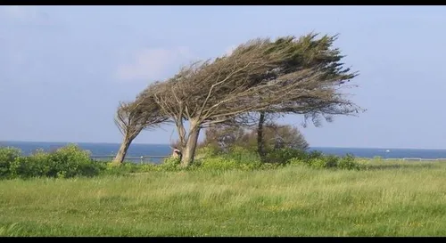 Ca va (encore) souffler aujourd'hui! 