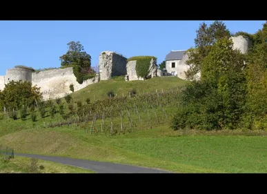 Finances dans le rouge : un appel aux dons est lancé pour sauver...