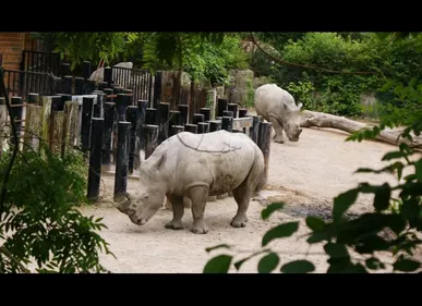 Le zoo de Lille devient payant pour les non-lillois
