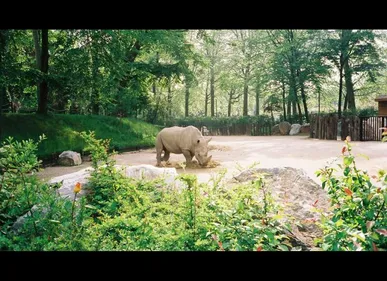 Lille : le zoo de Lille ferme ses portes pour l'hiver dimanche soir