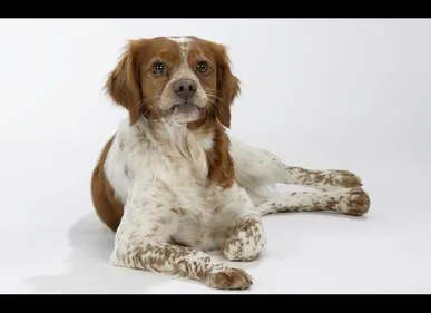 Saint-Quentin (02) : six mois de prison avec sursis pour avoir tué...