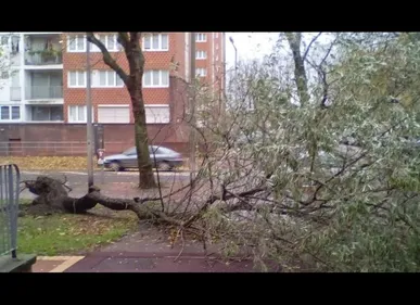 Tempête dans le Nord-Pas de Calais : beaucoup de dégâts matériels