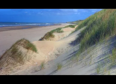 Berck (62) : le corps d'une femme a été retrouvé hier dans les dunes