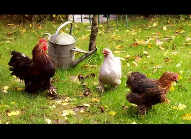 Après Roubaix et Tourcoing, Marcq-en-Baroeul se lance aussi dans le...