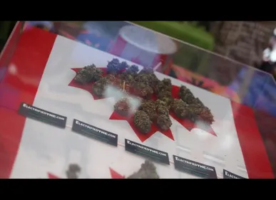 Carvin : un bébé hospitalisé après avoir ingéré du cannabis