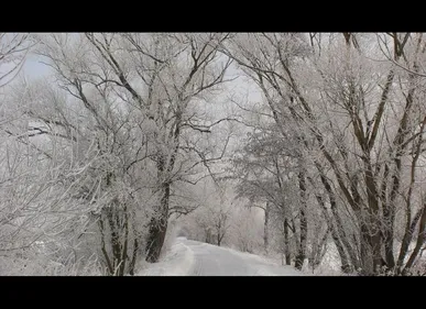 Hauts-de-France : la totalité de la région est passée au niveau 2...