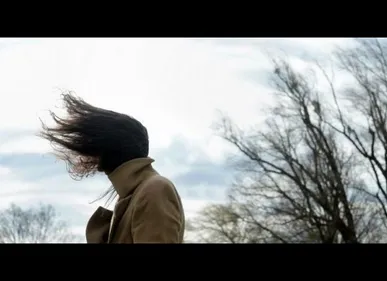 Le Nord – Pas-de-Calais en vigilance jaune vent violent