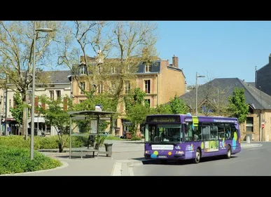 Charleville-Mézières : elle gifle un conducteur de bus sans raison...