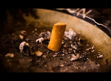 Des Lillois inventent une borne de recyclage des mégo