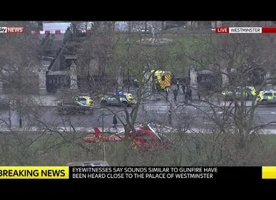 Londres: des coups de feu devant le Parlement britannique,...