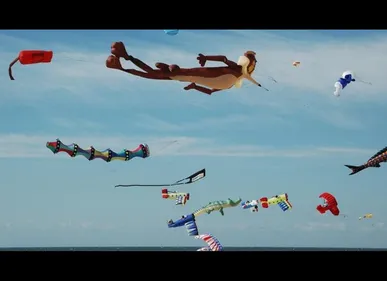 Les cerfs-volants débarquent ce week-end à Berck-sur-Mer !