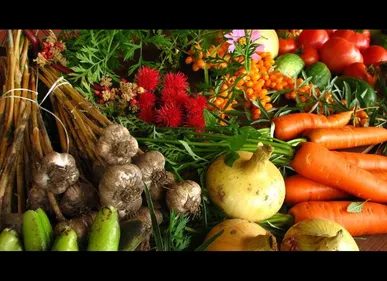 Le supermarché Superquinquin ouvre (enfin) à Lille
