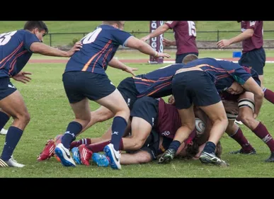 Roubaix : un tournoi de rugby rassemble des universités des quatre...