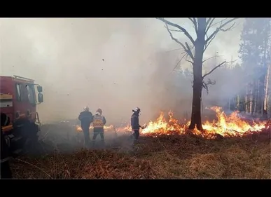 Oise : 15 hectares de forêt partent en fumée près du parc Saint-Paul