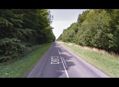 Forêt de Villers-Cotterêts : un jeune homme en garde à vue après...