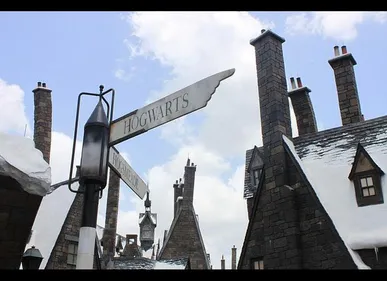 Amiens : un bar sur le thème d'Harry Potter vient d'ouvrir ses portes