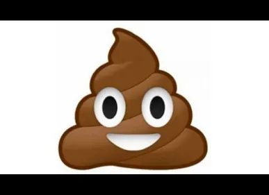 Un Lillois sort une application… qui couvre le bruit des toilettes