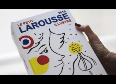 « Babache » entre officiellement dans le dictionnaire