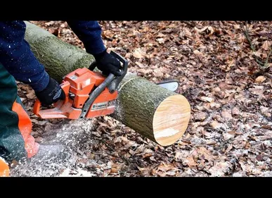 Tremblois-les-Rocroi (08) : le corps d'un bûcheron retrouvé sans...