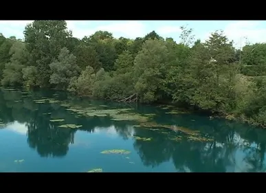 Aisne : du colorant se déverse dans la rivière et change la couleur...