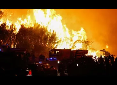 Incendies dans le Var : 10.000 personnes évacuées à Bormes-les-Mimosas