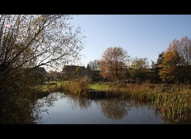 Roubaix : une dizaine d'animaux massacrés au jardin de Chlorophylle
