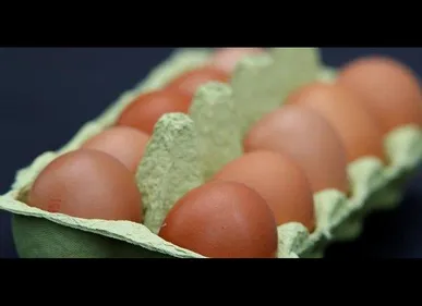 Oeufs contaminés au fipronil : le Pas-de-Calais touché