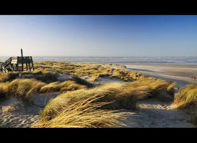 Le Touquet : La baignade de nouveau autorisée, aucune trace de...