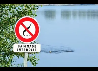 Armentières : Toujours pas de baignade en vue aux Prés du Hem, des...