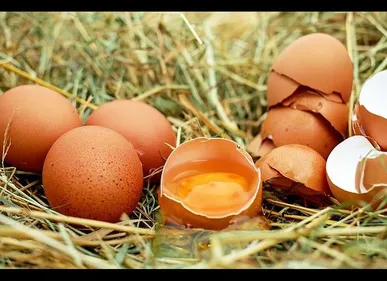 FoodStocks à Wattrelos rappelle des oeufs