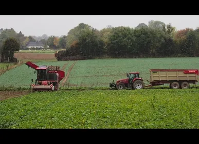 Campagne betteravière : la gendarmerie de l'Aisne appelle les...