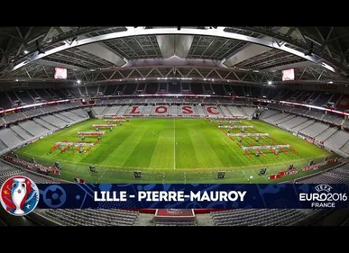 Football : Brésil-Japon au stade Pierre Mauroy lors de la trêve...