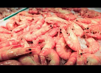 Un concours de décorticage de crevettes pour la bonne cause