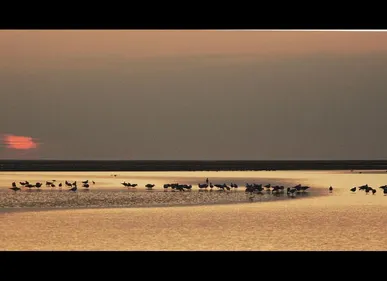 Le parc naturel "Picardie Maritime-Baie de Somme" verra le jour en...