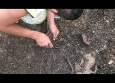 Condé-sur-l'Escaut (59) : des squelettes découverts sur un chantier...