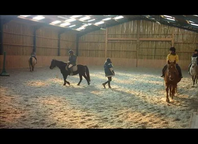 Thiérache : percutée par un poney, une adolescente dans un état...