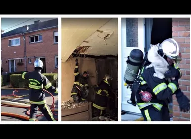 Cambrai : les pompiers sauvent un chaton piégé par les flammes