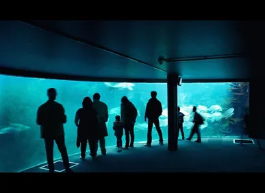 Nausicaa propose des promotions pour les habitants de...