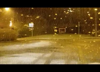 Neige : quels dispositifs pour faire face dans les Hauts de France ?