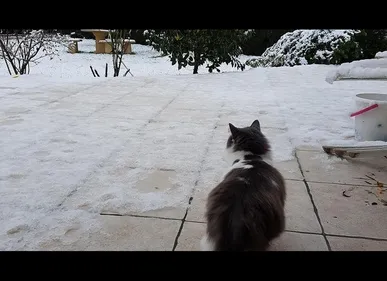 Neige : le retour annoncé ce week-end