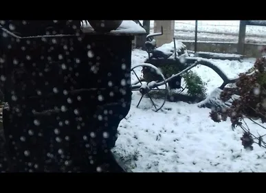 Neige : A16 et RN42 coupées, pas de bus dans la métropole lilloise