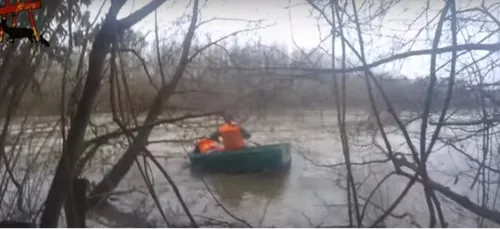 Oise : Un cerf achevé dans une rivière lors d'une chasse à courre
