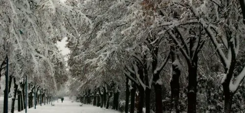 La neige de retour dans le Nord ce Week-end ?