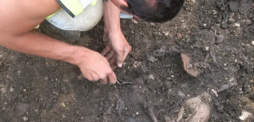 Saint-Amand-les-Eaux (59) : des ouvriers découvrent des ossements...