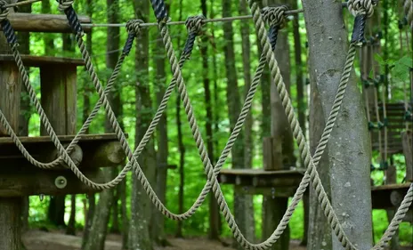 Lille : le Parc de la Citadelle va proposer des parcours...