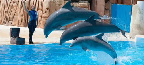 Le Conseil d’Etat annule l’interdiction de la reproduction des...