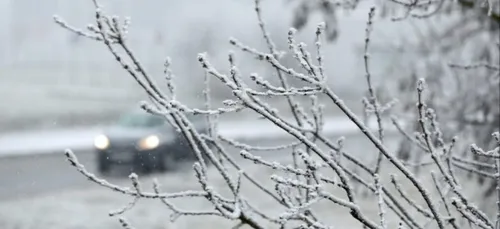Météo : le froid s'installe sur les Hauts-de-France