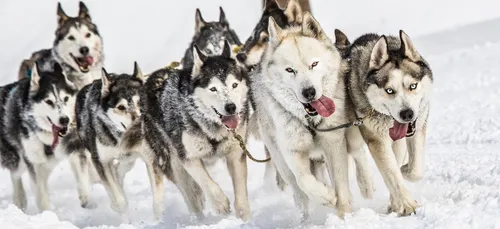 Météo : le froid et la neige de retour en fin de semaine